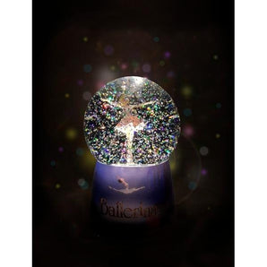 Night Light Snow Globe with Music Swan Lake