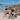 Beach Toy Set - Peguin - Bimbo Concept