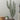 FINGER CACTUS WALL STICKER