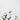 Flower Holder - BLACK - Bimbo Concept