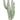 GREEN FINGER CACTUS WALL STICKER - Bimbo Concept