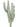 GREEN FINGER CACTUS WALL STICKER - Bimbo Concept