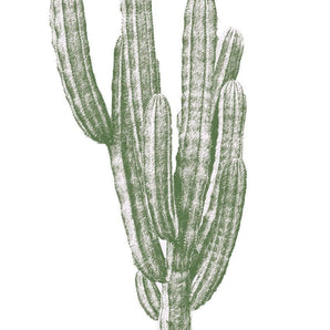 GREEN FINGER CACTUS WALL STICKER - Bimbo Concept