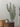 GREEN FINGER CACTUS WALL STICKER - Bimbo Concept