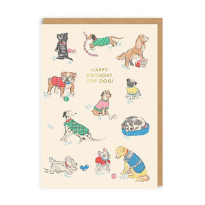 Happy Birthday Top Dog Greeting Card - Bimbo Concept
