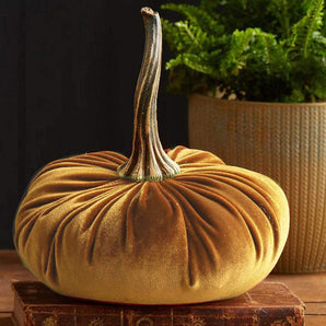 Velvet Pumpkin