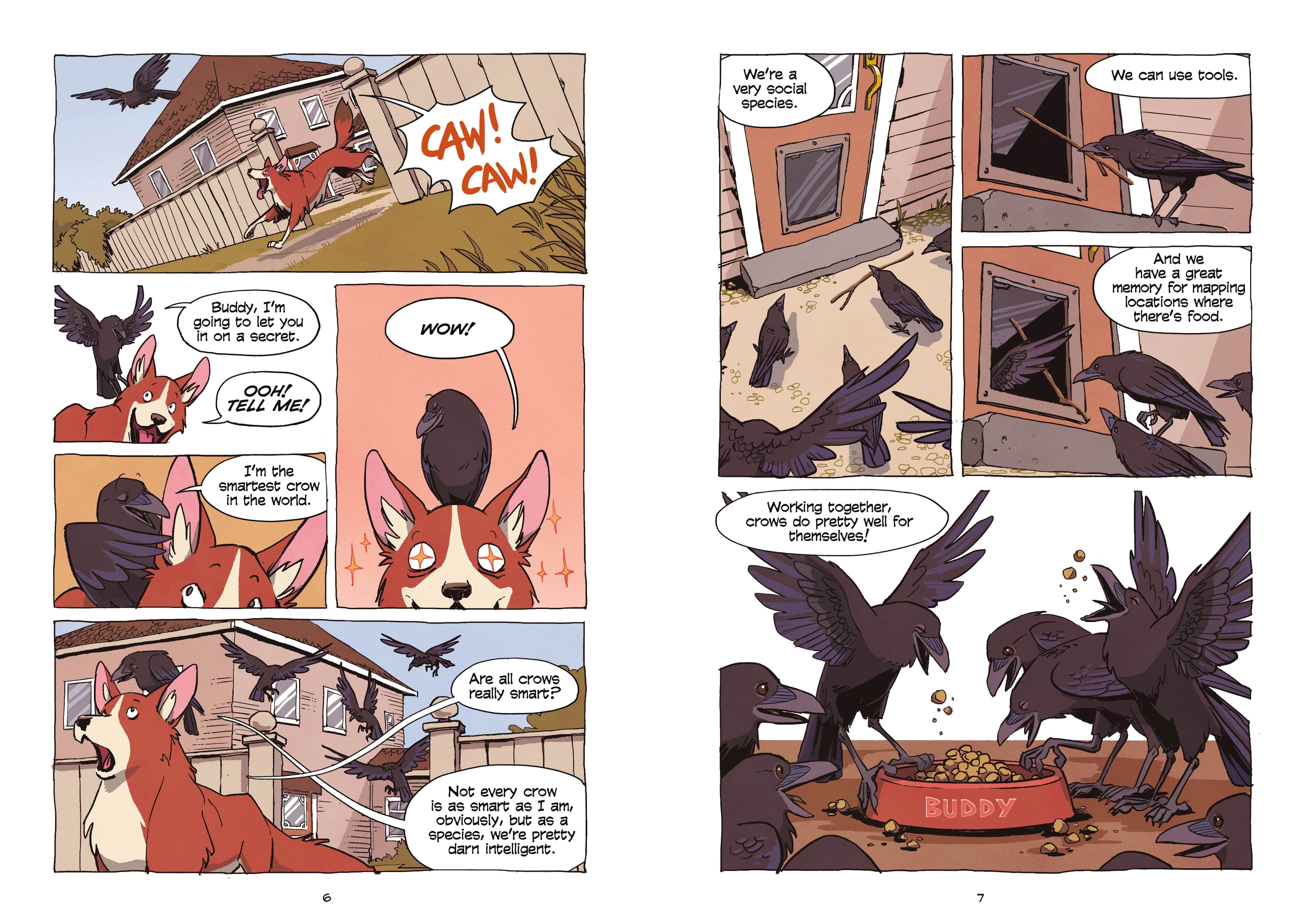 Science Comics - Crows Genius Birds