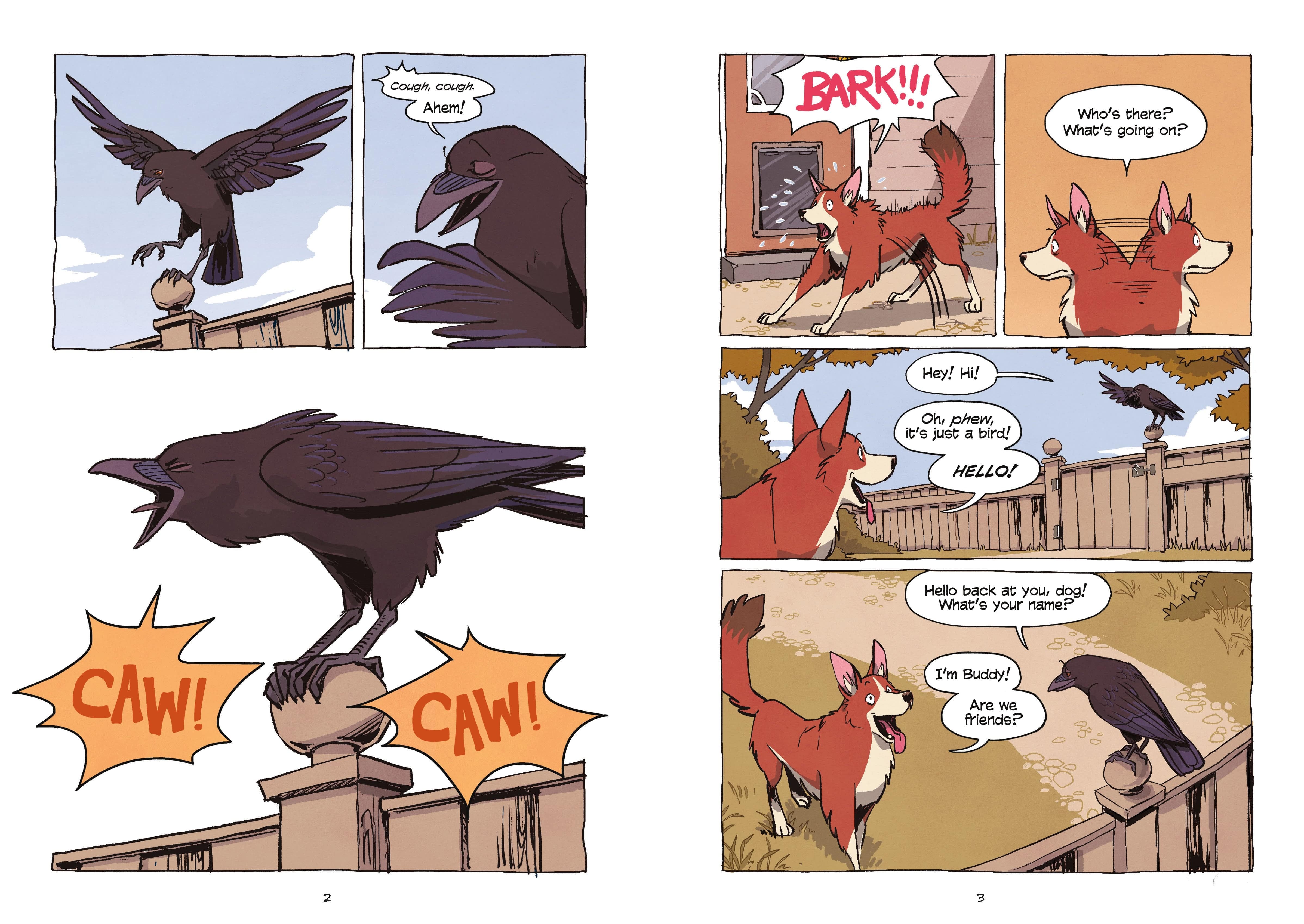 Science Comics - Crows Genius Birds