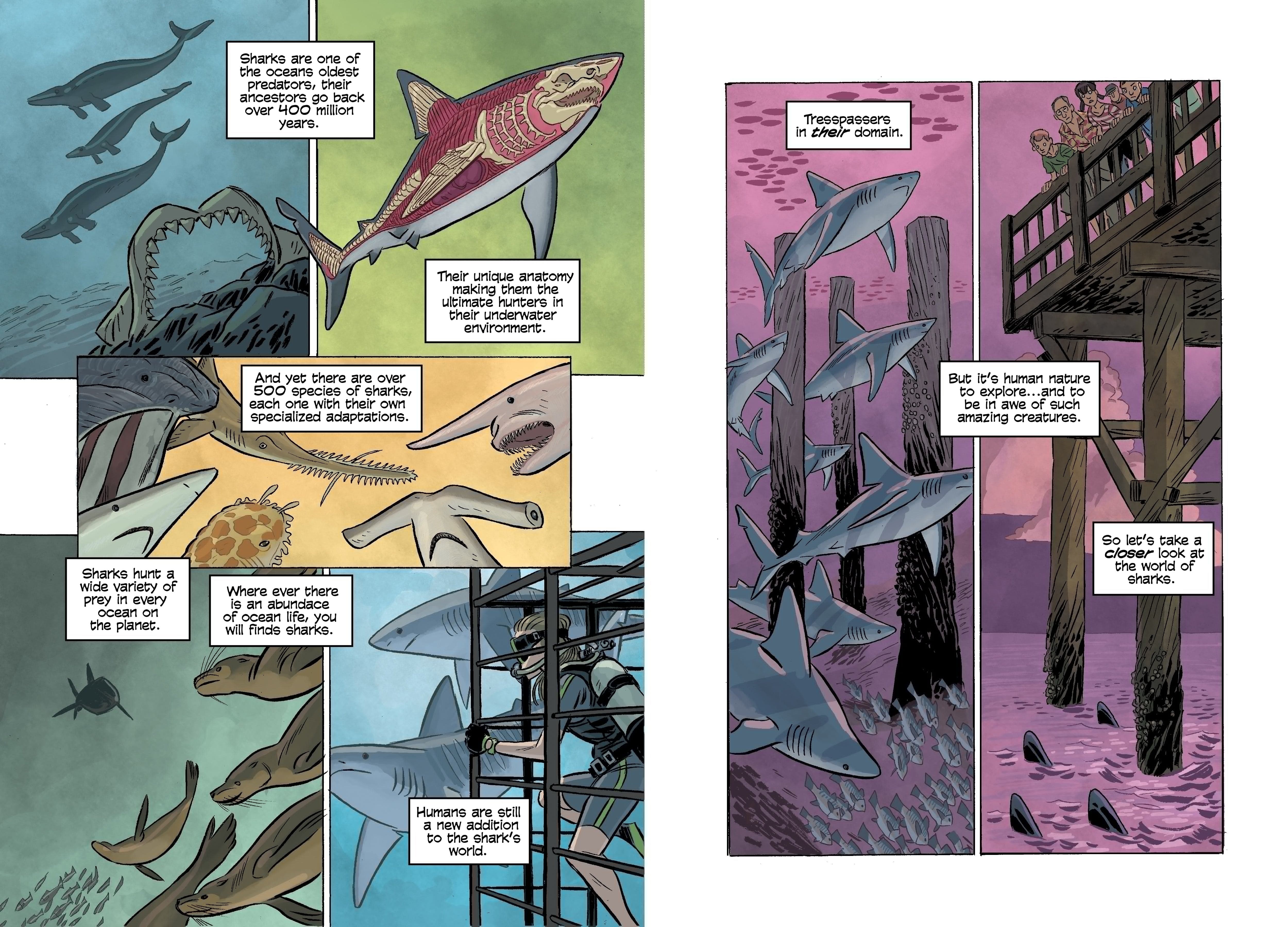 Science Comics - Sharks Nature's Perfect Hunter