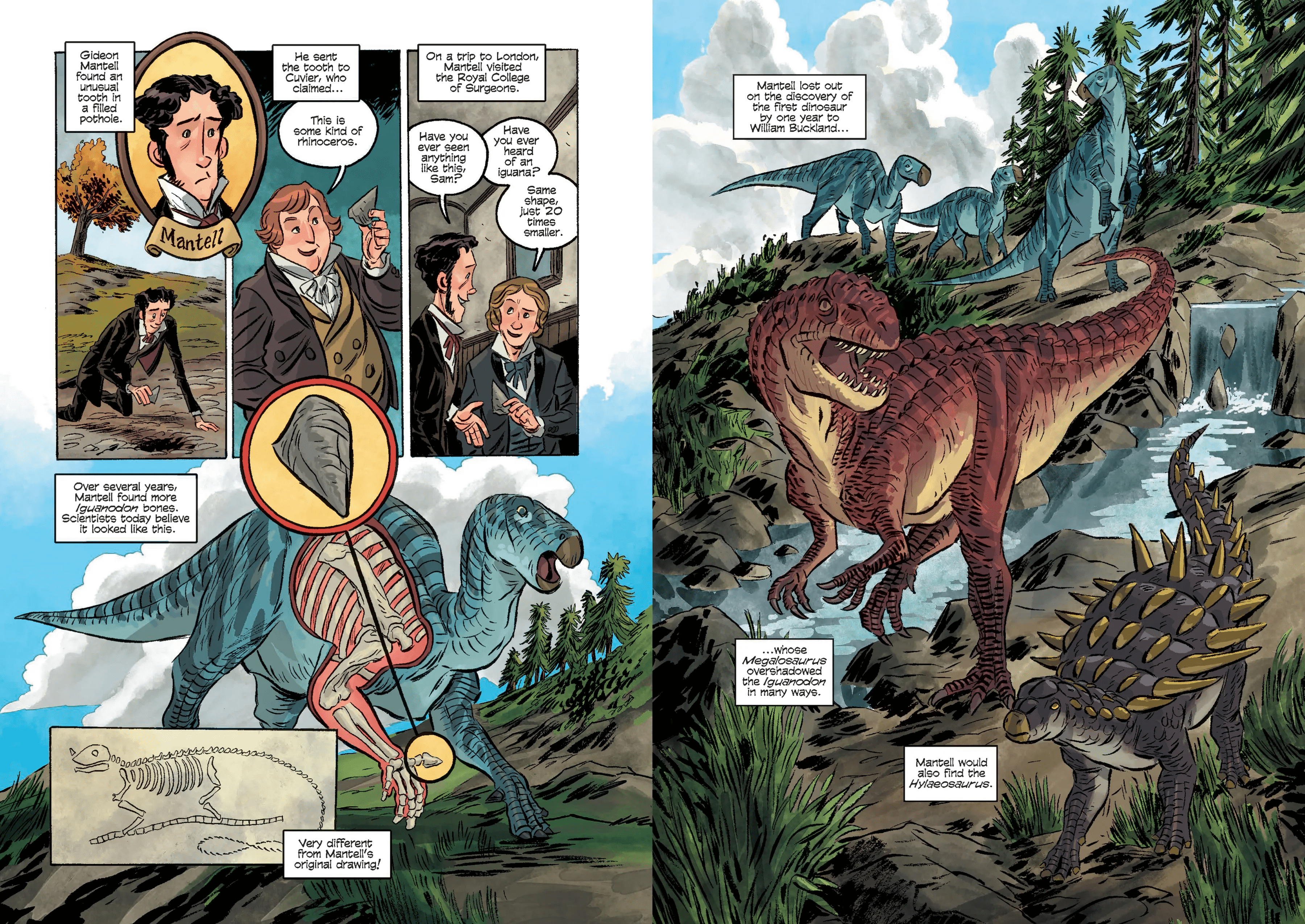 Science Comics - Dinosaurs Fossils and Feathers