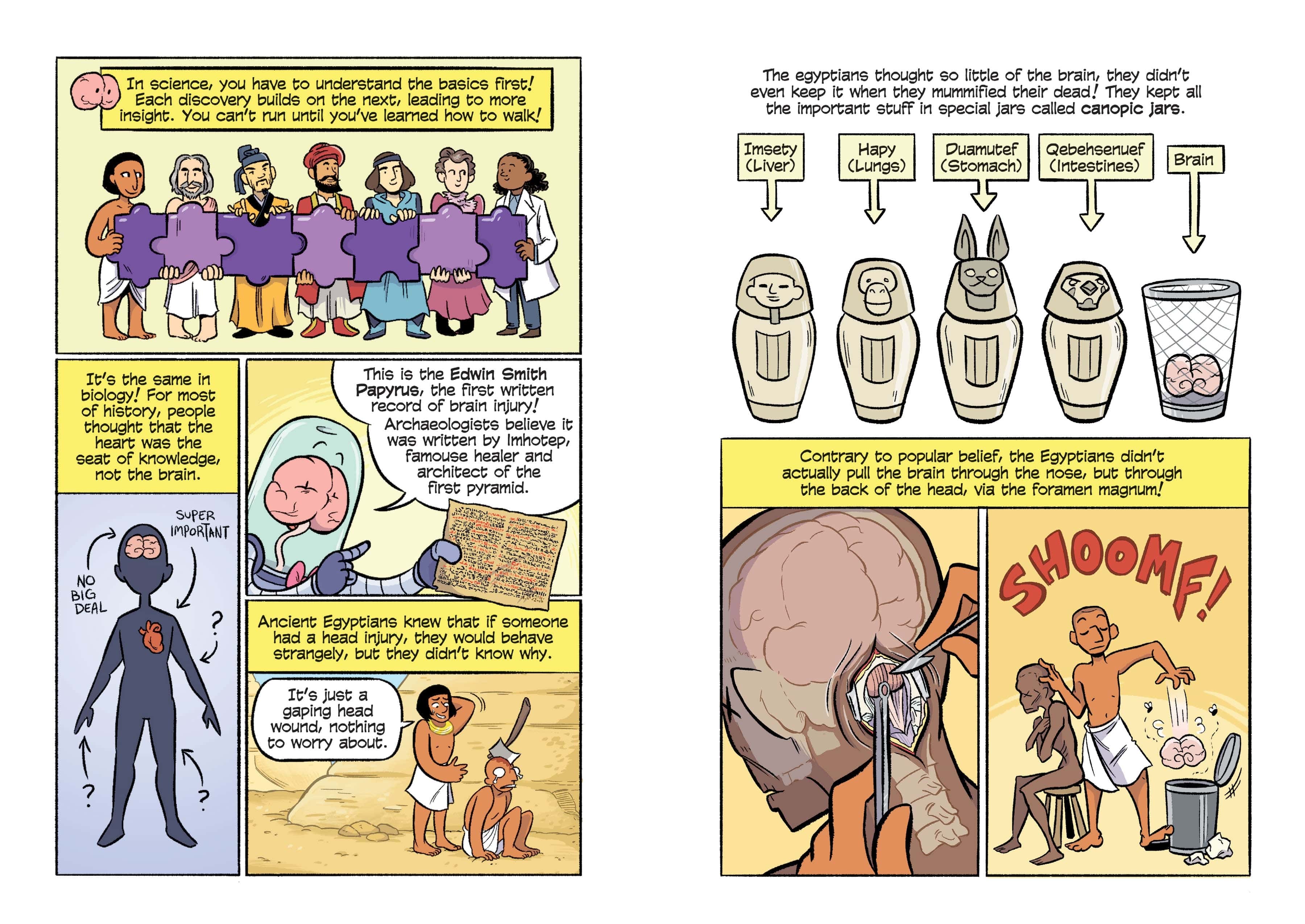 Science Comics - The Brain The Ultimate Thinking Machine