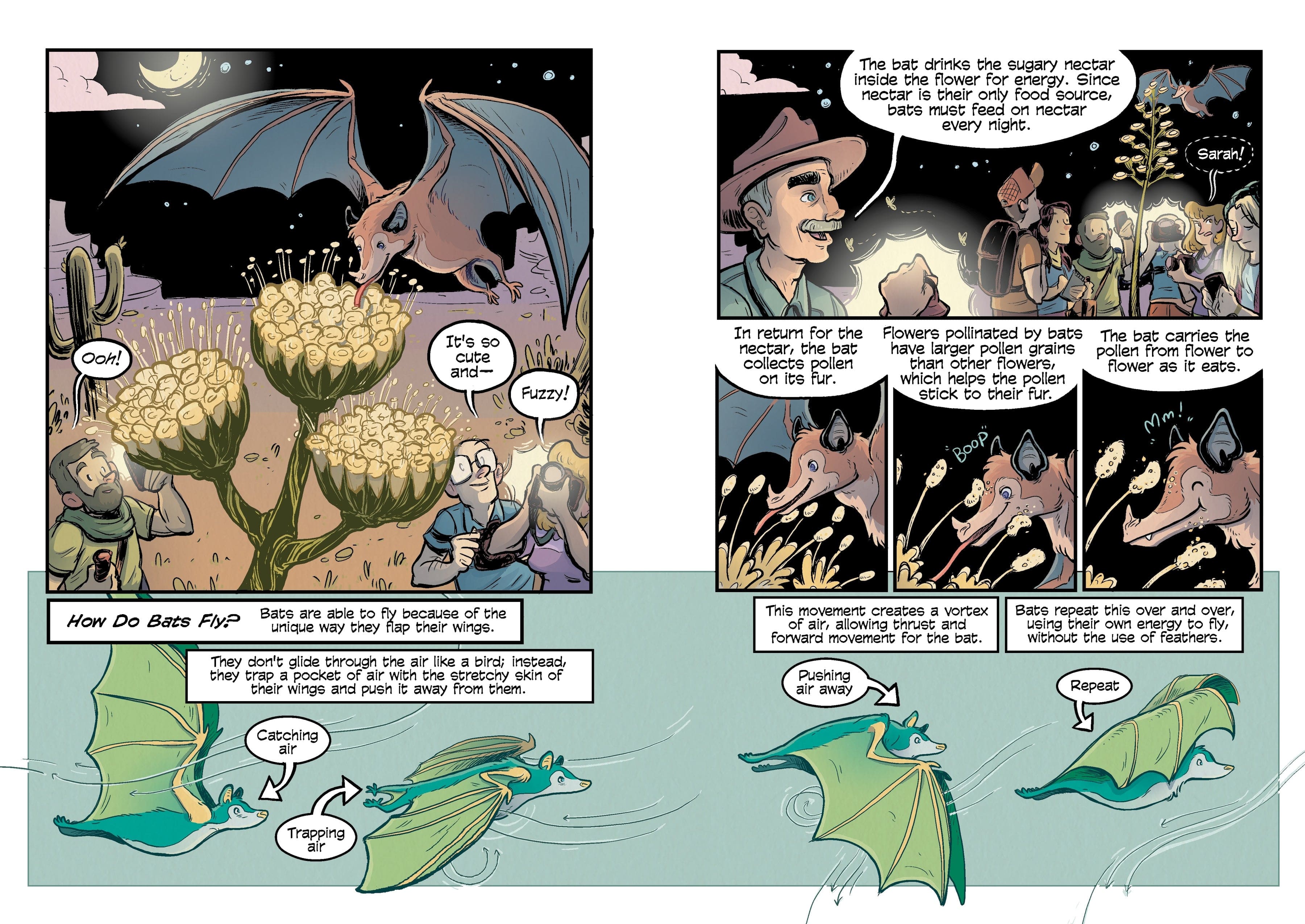 Science Comics - Bats Learning To Fly