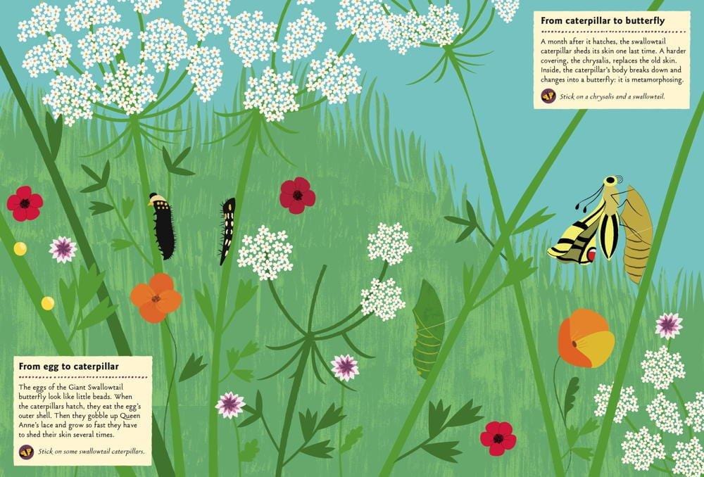 Butterflies of the World: My Nature Sticker Activity Book