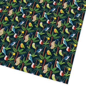 Jungle Birds Giftwrap - Bimbo Concept