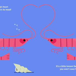 Little Known Facts: Animals - Bimbo Concept