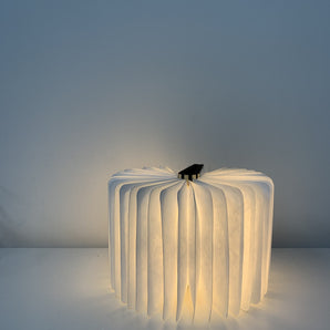 Mini Book Light - Bimbo Concept