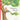 Mouse's Wood A Year In Nature - Bimbo Concept
