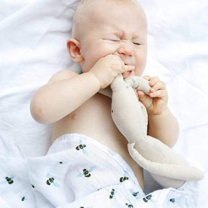 Organic Swaddle Set - Bimbo Concept
