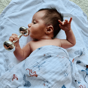 Organic Swaddle single - Bimbo Concept