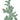 RACKET CACTUS WALL STICKER - Bimbo Concept