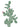 RACKET CACTUS WALL STICKER - Bimbo Concept