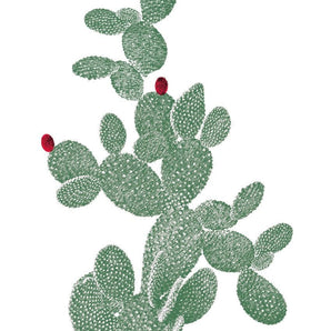 RACKET CACTUS WALL STICKER - Bimbo Concept