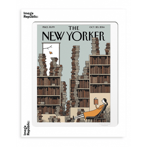 THE NEWYORKER 66 GAULD FALL LIBRARY 40X50 CM