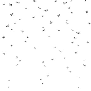 The Wild Butterfly - Bimbo Concept