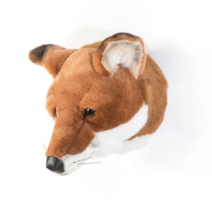 TROPHY FOX LOUIS - Bimbo Concept