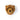 Trophy Grizzly Bear Oliver - Bimbo Concept