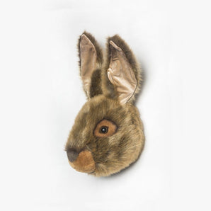 Trophy Hare Lewis - Bimbo Concept