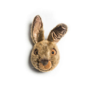 Trophy Hare Lewis - Bimbo Concept