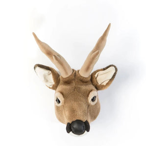 Trophy Roe - Deer Toby - Bimbo Concept