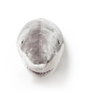 TROPHY SHARK JACK - Bimbo Concept