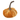 Velvet Pumpkin - Bimbo Concept