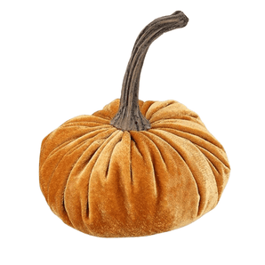 Velvet Pumpkin - Bimbo Concept