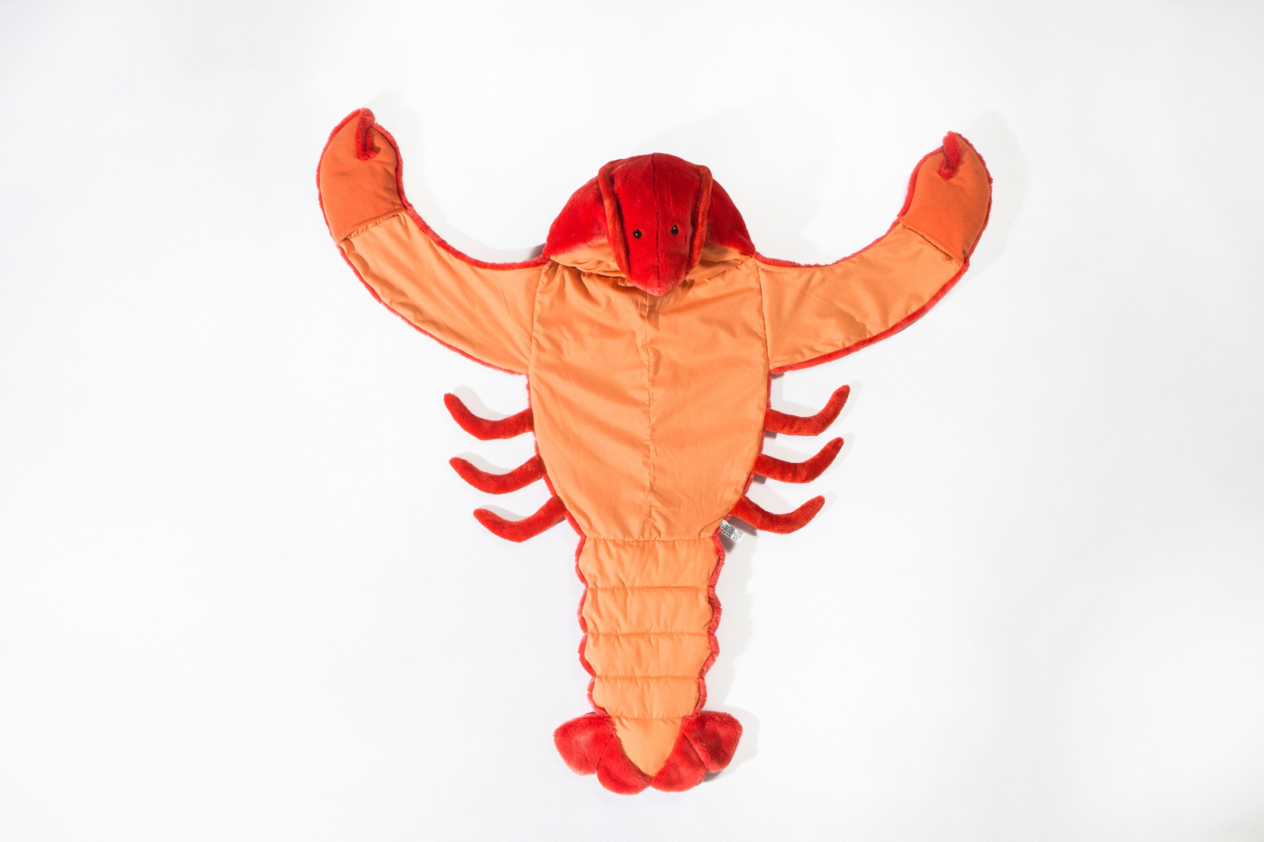 Lobster Costume