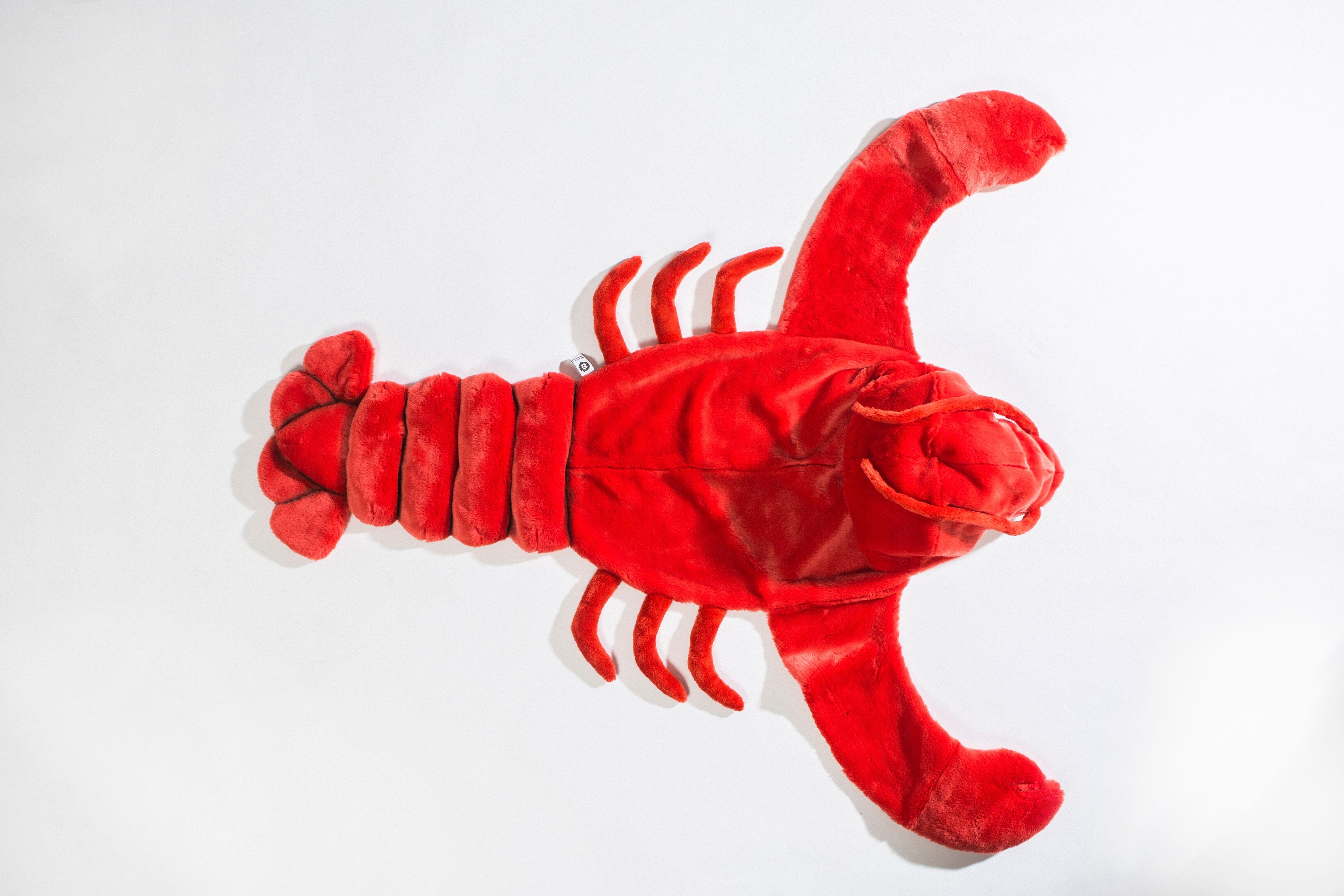 Lobster Costume