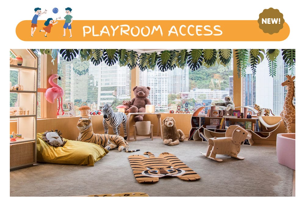 Playroom access